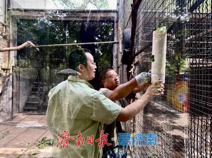 一年四季 泉在济南｜济南动物园开启动物“益智食光”