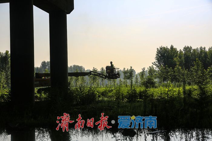 济南黄河大桥（老桥）大修稳步推进，将变身慢行景观桥梁