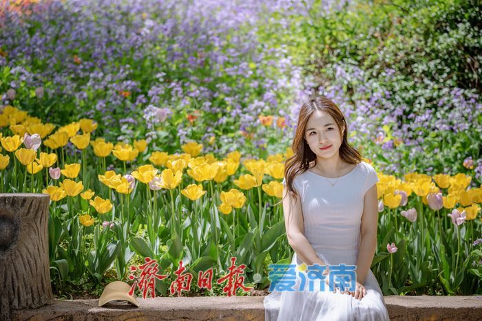 一年四季 泉在济南丨泉城春满山谷间！济南红叶谷郁金香与二月兰织就春日浪漫图景