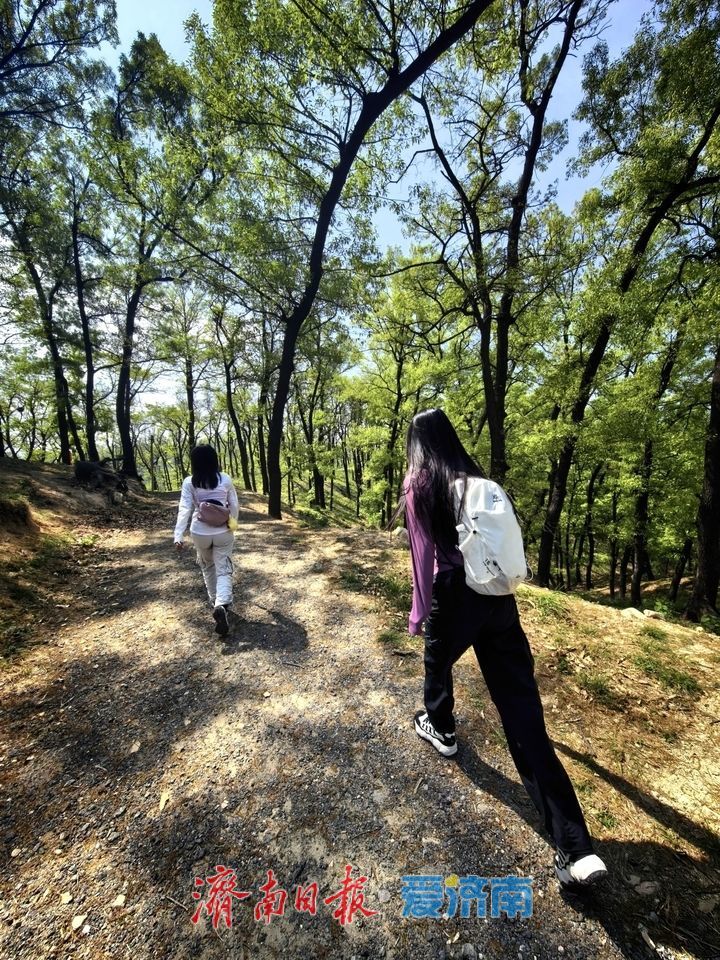 一年四季 泉在济南丨徒步药乡 奔赴山林之约