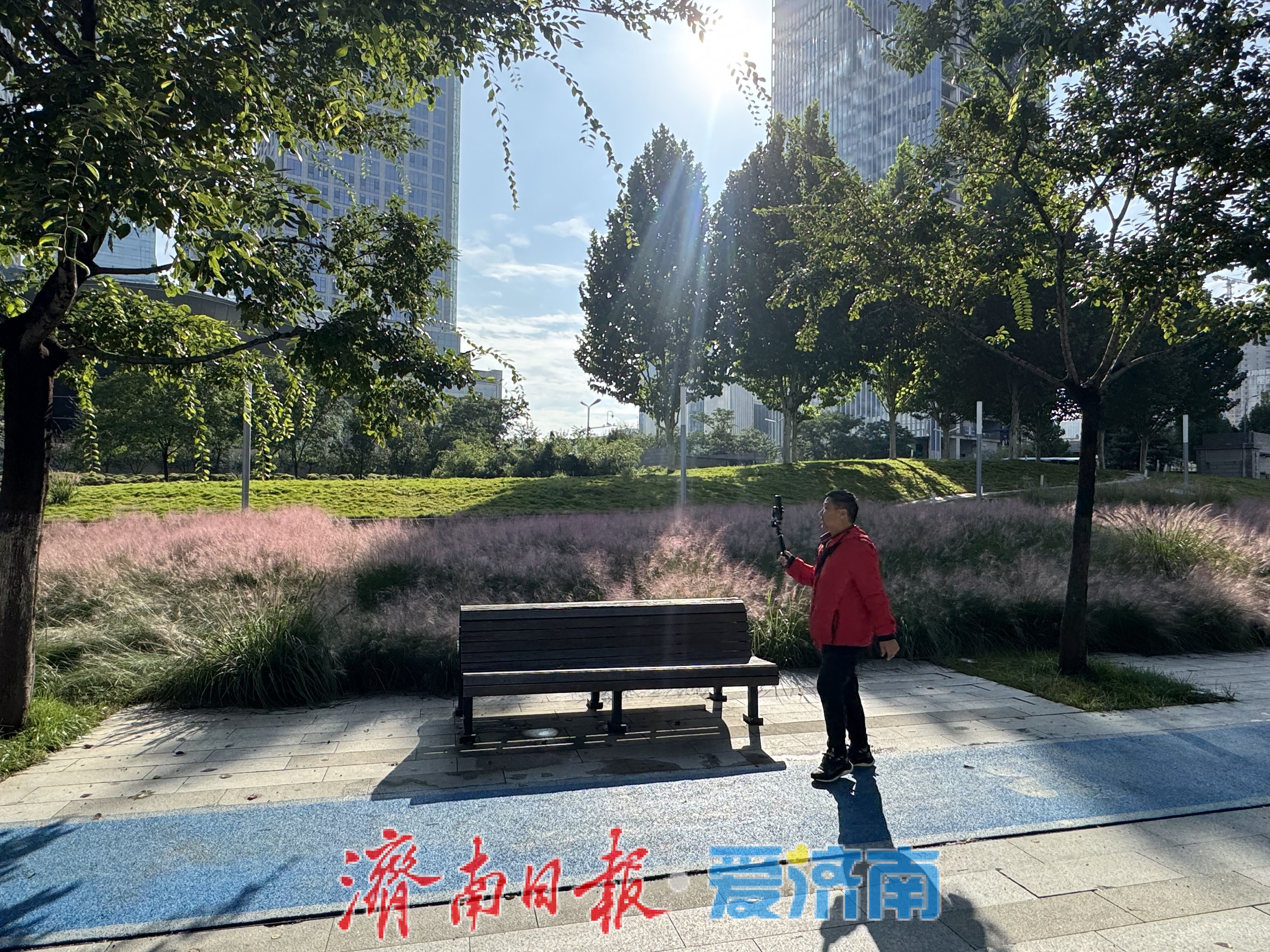 一年四季 泉在济南丨济南泉城人才公园：粉黛盛放绘就秋日浪漫画卷