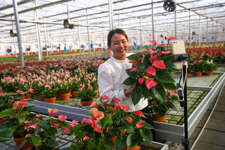 花卉产业助力乡村振兴