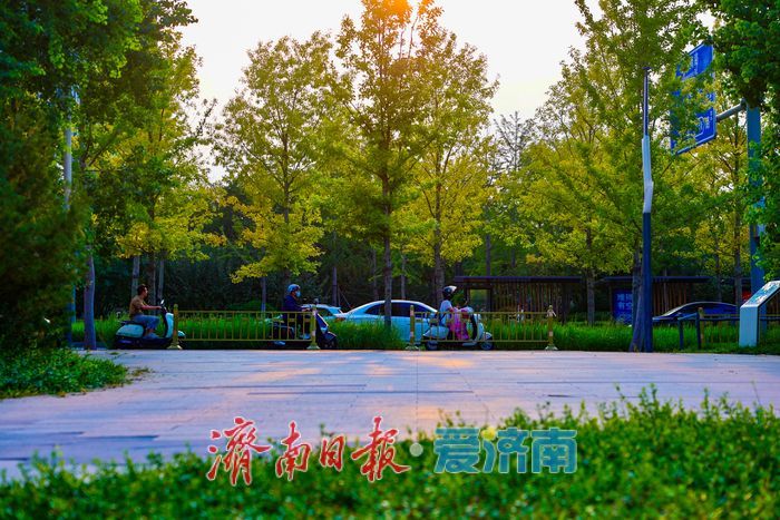 初秋黄昏 绘就绸带公园诗意画卷