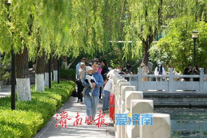 一年四季 泉在济南丨珍珠泉畔绿意盎然，游客争睹“泉涌珍珠”盛景