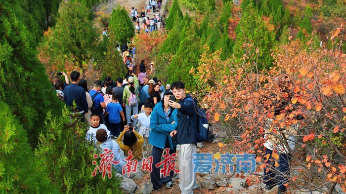一年四季 泉在济南丨“平分秋色”胜景上线，济南蝎子山迎来“打卡热”！