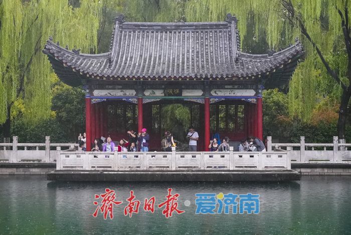 一年四季 泉在济南丨秋日“仙境”上线！来珍珠泉，看“万颗珍珠”雨中起舞