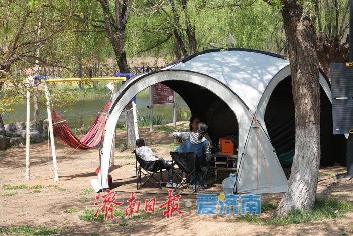 一年四季 泉在济南｜气温宜人好时光！湿地露营热 “燃” 初夏