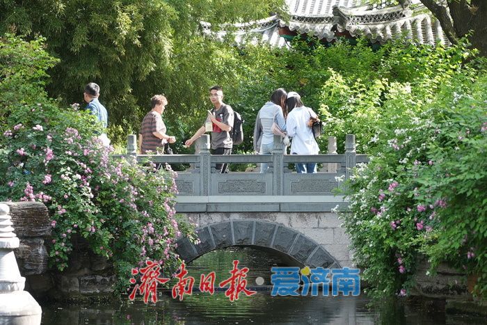 一年四季 泉在济南｜泉城春日似夏 泉水欢涌引客来