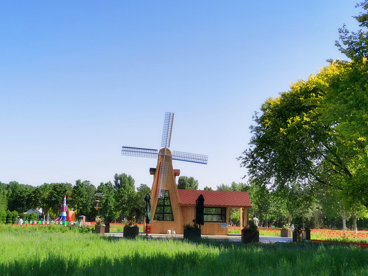 新晋打卡地！济南鲜花港万平花海美到炸