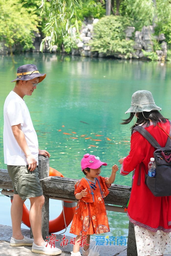 一年四季 泉在济南丨泉涌小满夏意浓