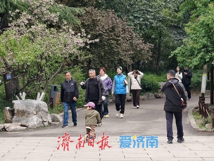 一年四季 泉在济南丨雨后游园享清新