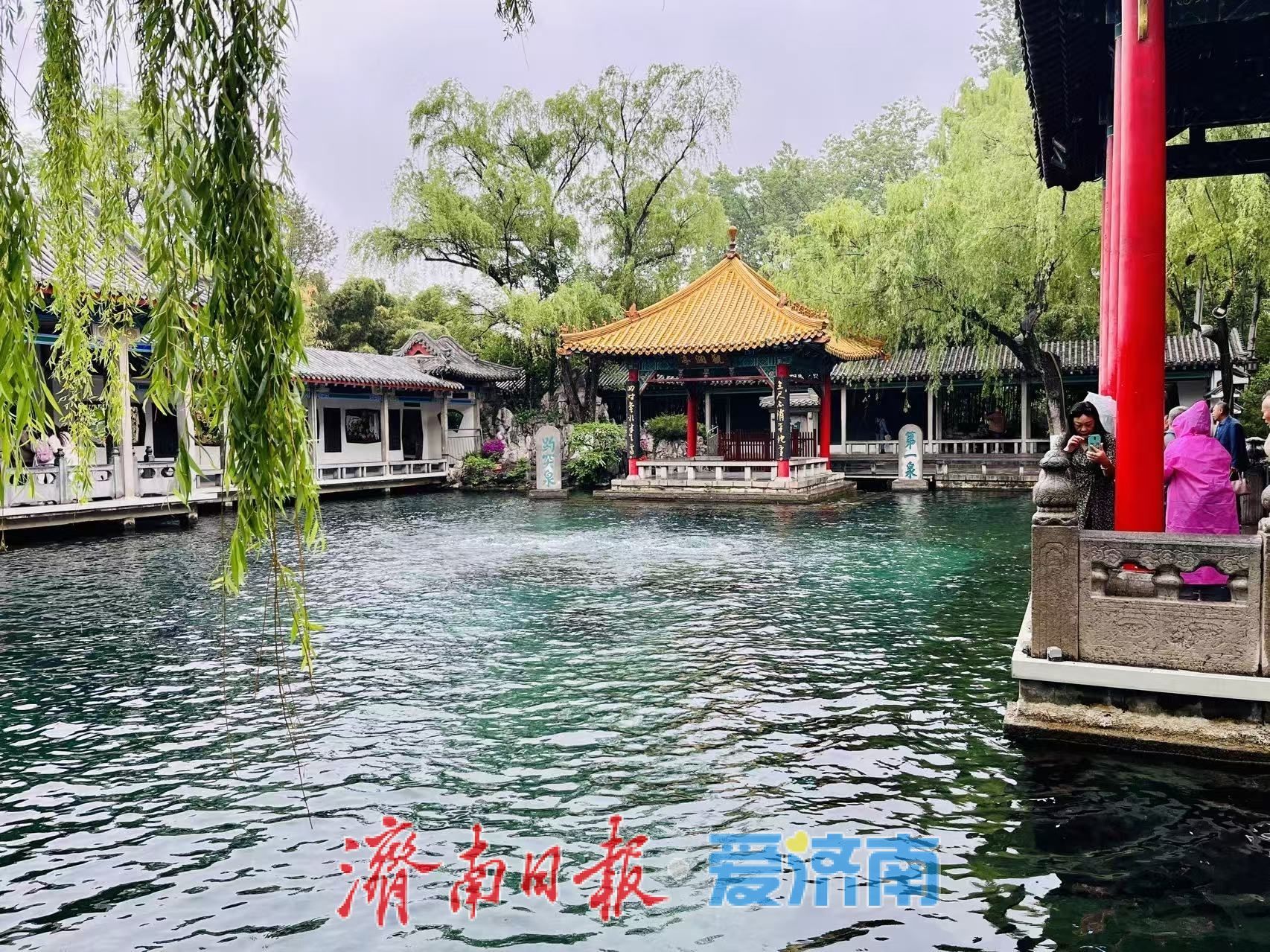 济南泉水迎“暴涨潮”：趵突泉连涨13天，黑虎泉单日涨20厘米