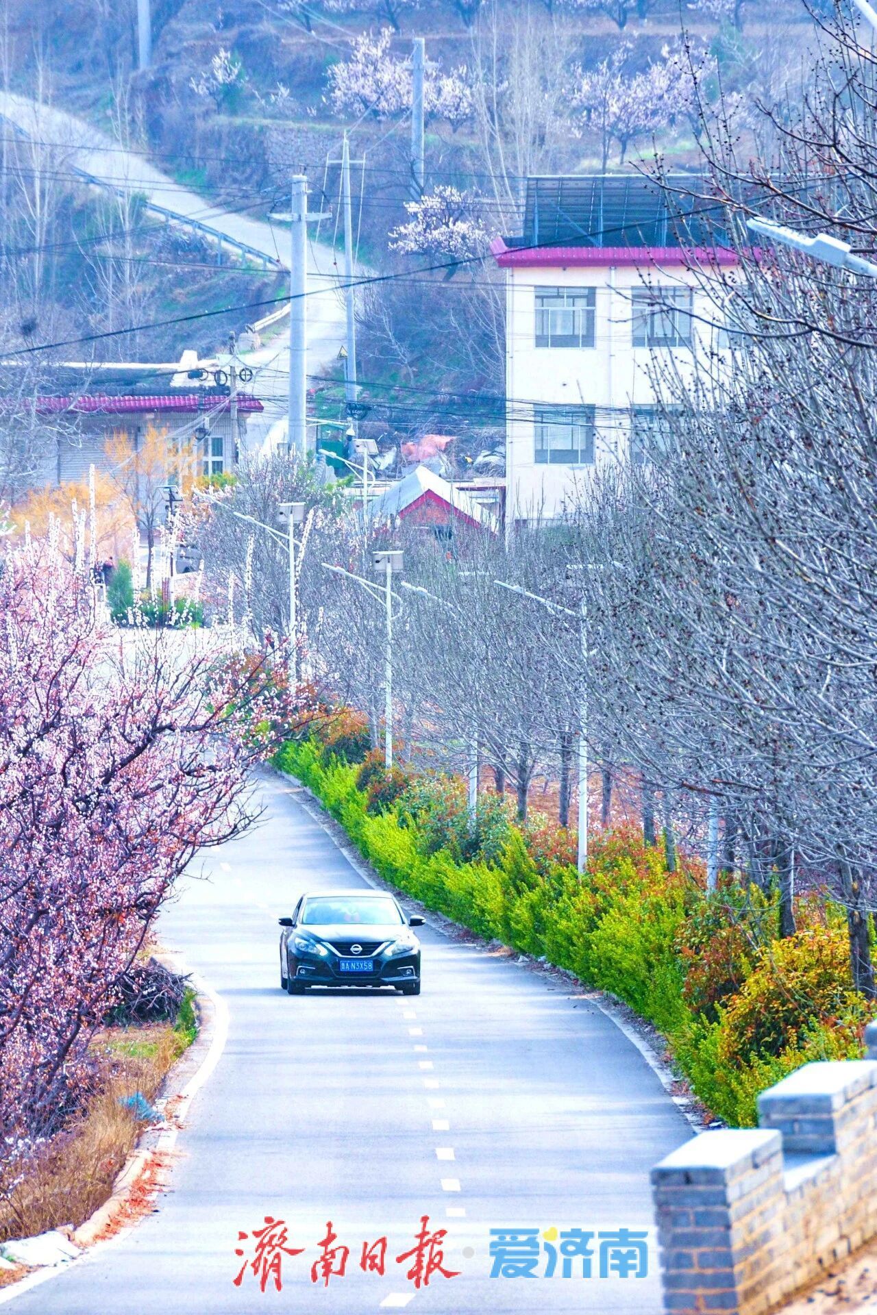 行在济南 游在路上，一条路带动一片村
