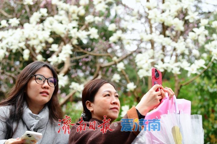 春雨润泉城花开俏争春，趵突泉畔宛如画卷引客来