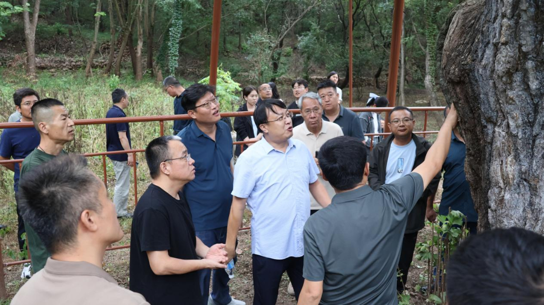 ������԰�ָ����� ������԰�ָ��Ҹ�&mdash;&mdash;202...