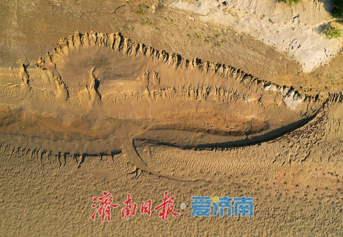 黄河济南段河床现自然 “树影” 奇观