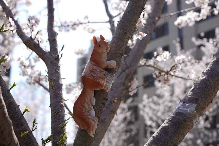 济南2024年首个“共建花园”开园