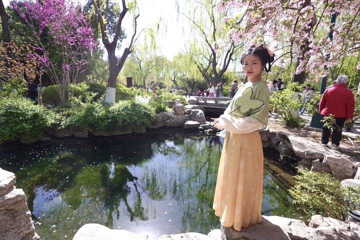 周末畅游花海 享受多彩春天