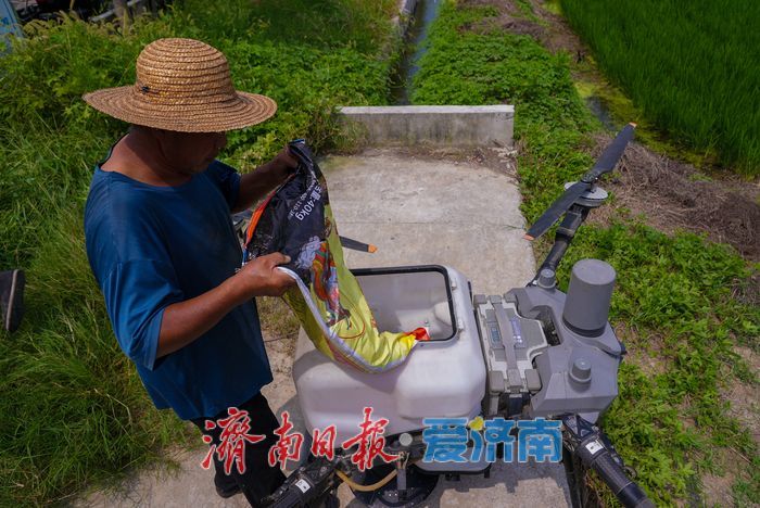 无人机上阵！稻田施肥跑出“科技加速度”