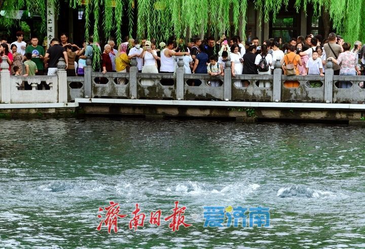 直逼29米！趵突泉持续喷涌22年，泉畔游人如织共赏胜景