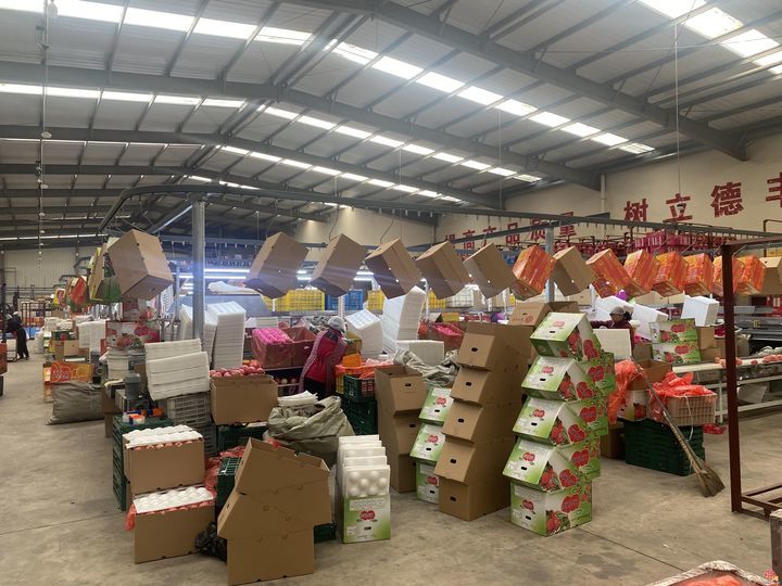 “云话山东”走进烟台