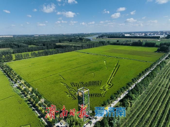 向土地“要效益” 为发展“守根基”——济南市自然资源和规划局奏响高质量发展强音