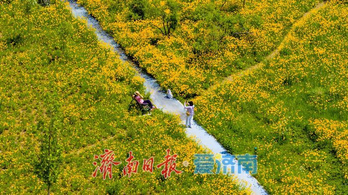 钢骨承记忆 花海映新生——济钢高炉改造如火如荼