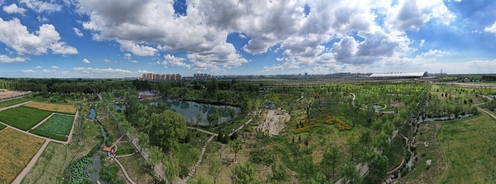 一年四季 泉在济南丨叮咚泉水映童趣，“泉涌白沙”醉游人