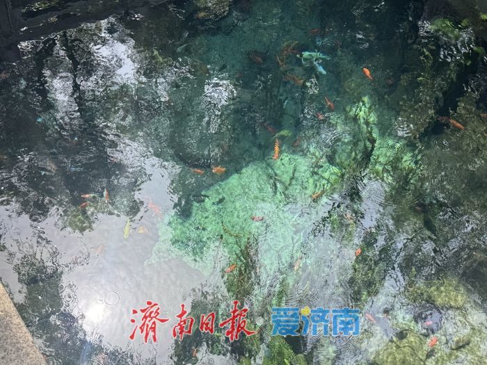 春日泉韵浓 玛瑙泉景致怡人