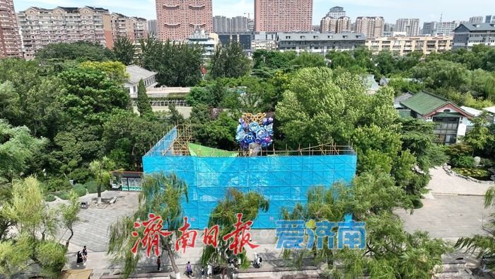 一年四季 泉在济南丨大明湖畔“夏雨荷2.0”开始“描眉画眼”