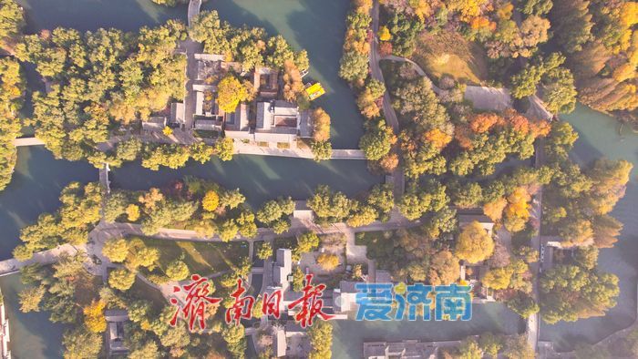 一年四季 泉在济南丨大明湖秋意浓 树木换彩妆绘美景