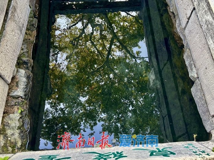 一年四季 泉在济南丨金线泉再现“金线游动” 秋日泉景引客赏