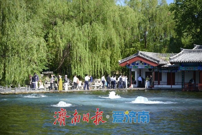 一年四季 泉在济南丨五泉齐涌如梅绽，清照故里韵悠长