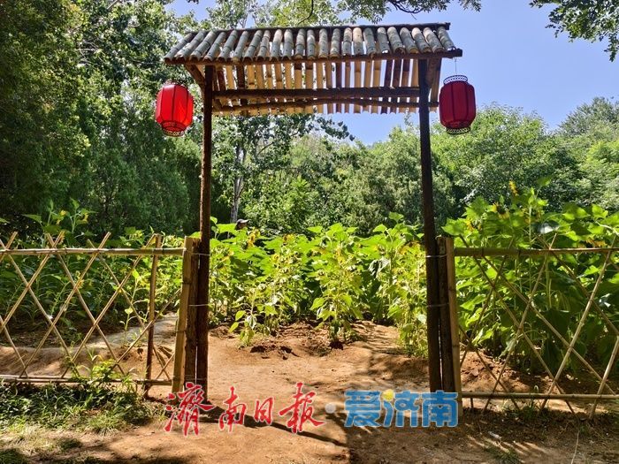 千佛山新增两处花海