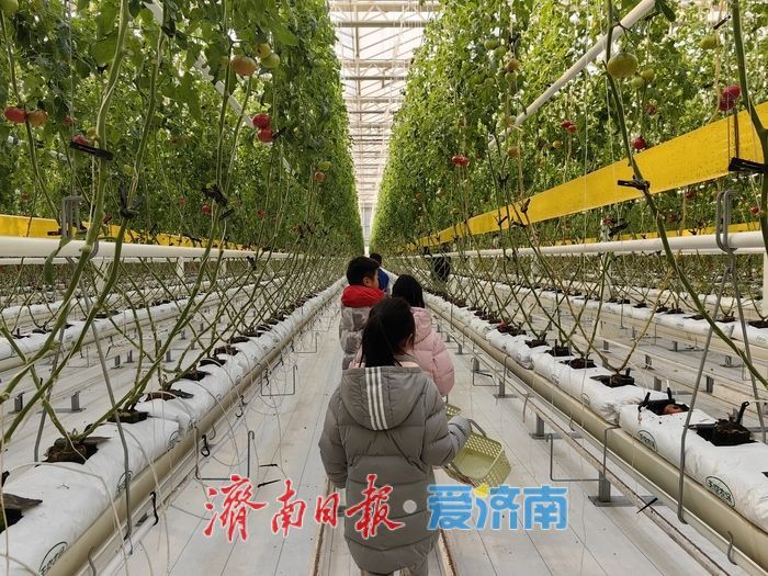 寒假研学热：在年味里上一堂“行走的课”