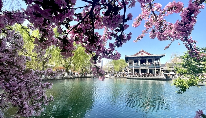 周末畅游花海 享受多彩春天