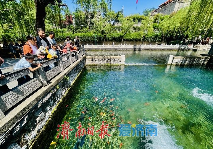 一年四季 泉在济南｜雨后黑虎泉：蓝天映碧水 虎啸愈欢腾