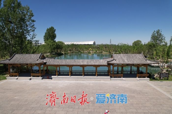 项目强省会｜打造泉水主题沉浸式景观，济南白泉生态保护项目即将揭开面纱