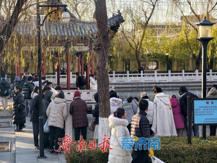 济南珍珠泉碧水锦鲤醉游人