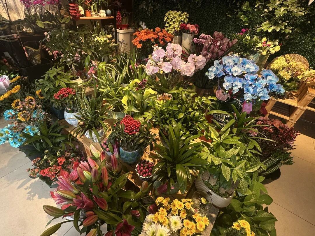 济南公园上演新春盛典，赏花购年货一站式解锁