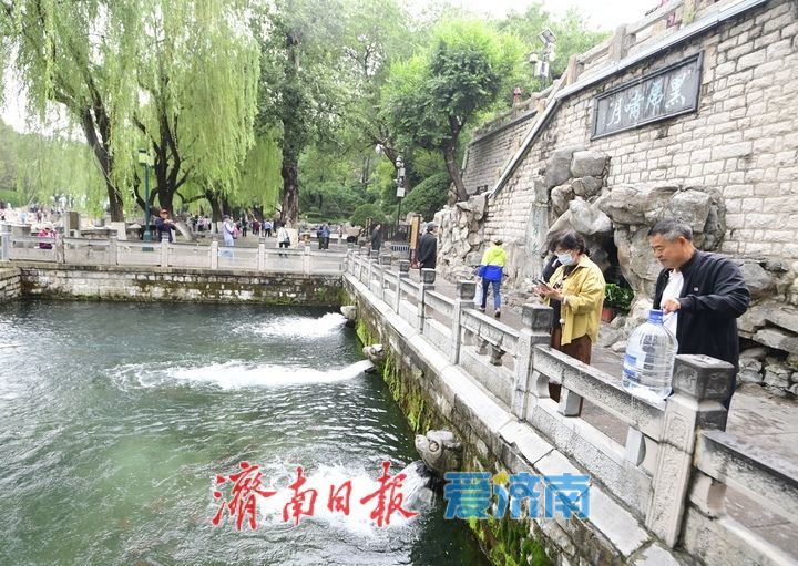雨助泉涌，济南黑虎泉水位一夜攀升7厘米