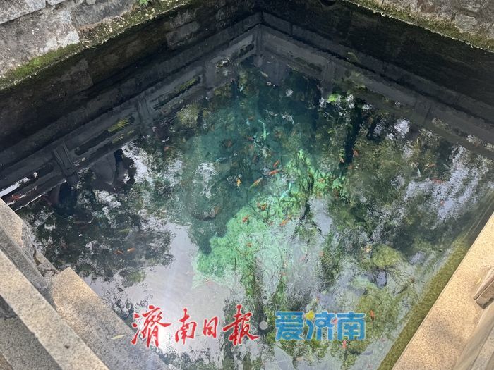 春日泉韵浓 玛瑙泉景致怡人