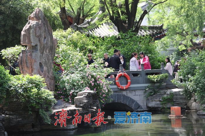 五一假期临近，济南泉水游提前升温