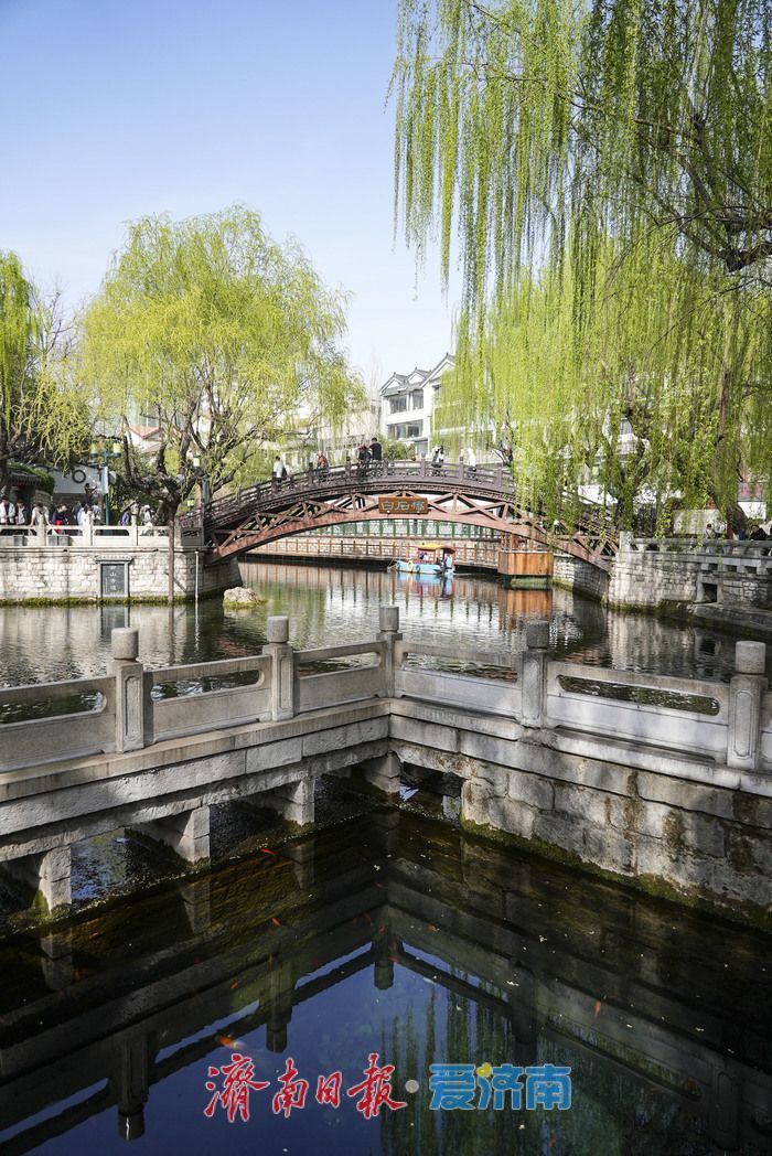 济南护城河畔春意浓