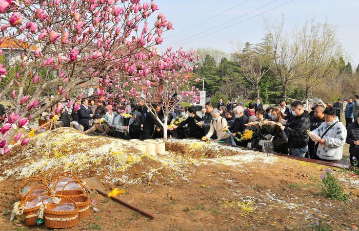 繁花伴长眠 文明润泉城——济南市玉函山安息园集体花坛葬践行绿色殡葬新风