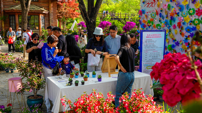 假期赏花好去处，济南这里美不胜收