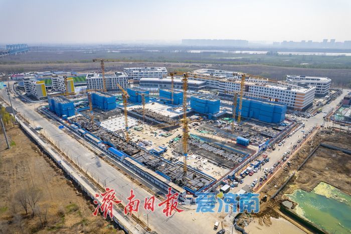 项目强省会｜“教育+居住+服务”联动，济南起步区大桥片区这些地块高效推进