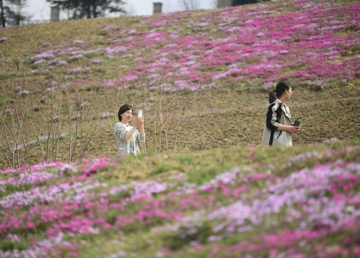 “泉”在济南过五一 