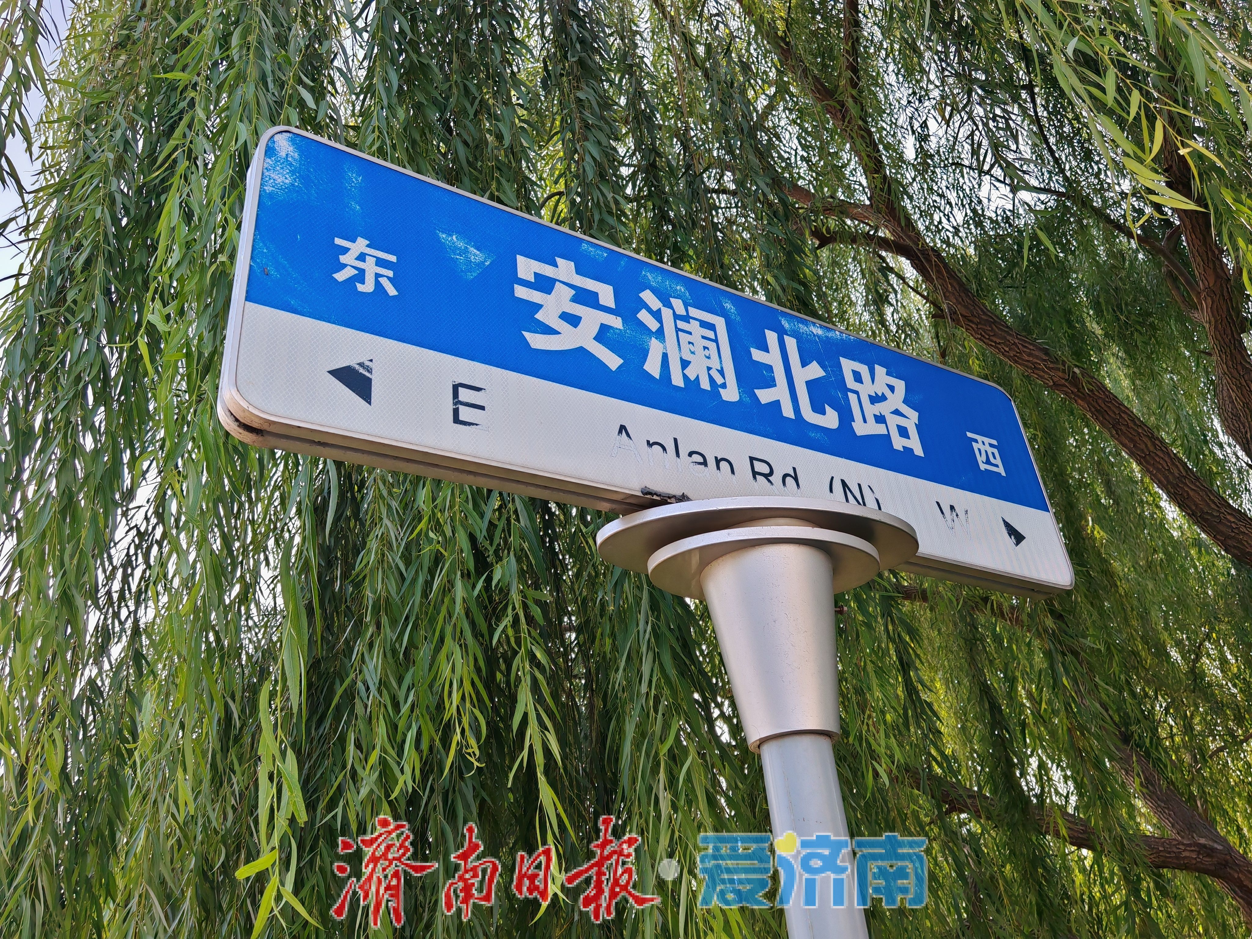 一年四季 泉在济南丨济南冬日里的“绿野长廊”