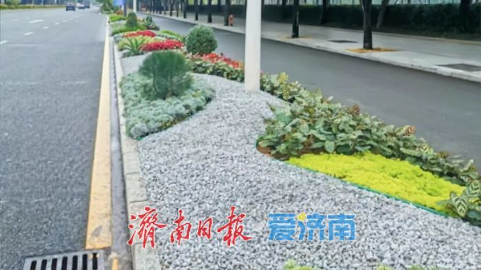 项目强省会｜细节满满！一起来了解工业南路“华丽转身”